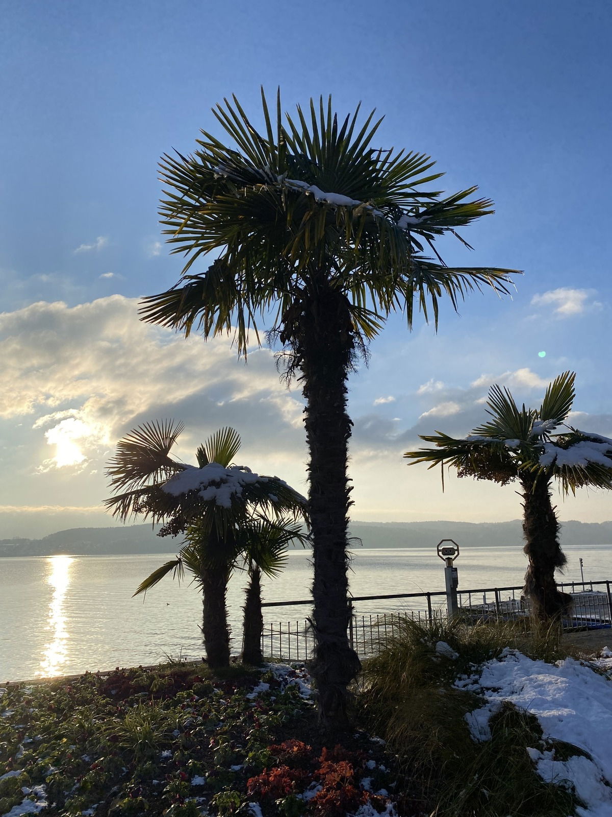 Überlingen am Bodensee ⛄