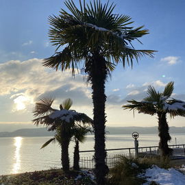 Überlingen am Bodensee...