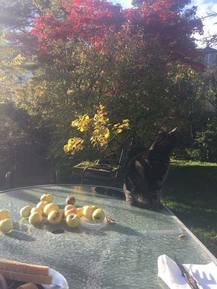 Idyllische Momente im Garten mit Oli