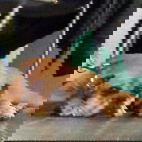 Hilfe, ist das laaangwe...