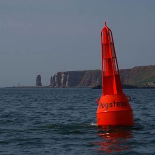 muss ich wohl nichts zu...