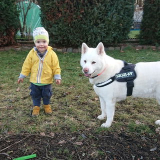 Kemi hat von Anfang an ...