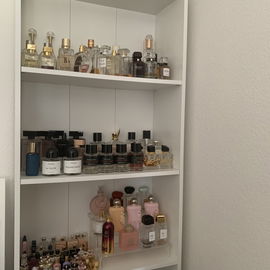 Nur in 1 Jahr wächst m...