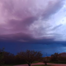 Our front yard, at home...