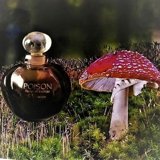 Erst rein, dann abgeleh...