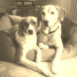 Wauzls :)