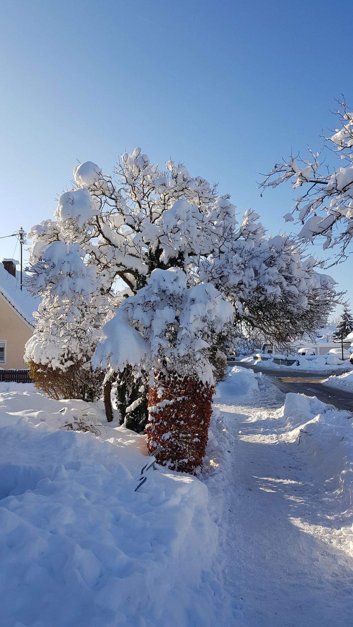 Wintereinbruch in Oberbayern 2023 ☃️