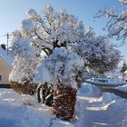 Wintereinbruch in Oberb...
