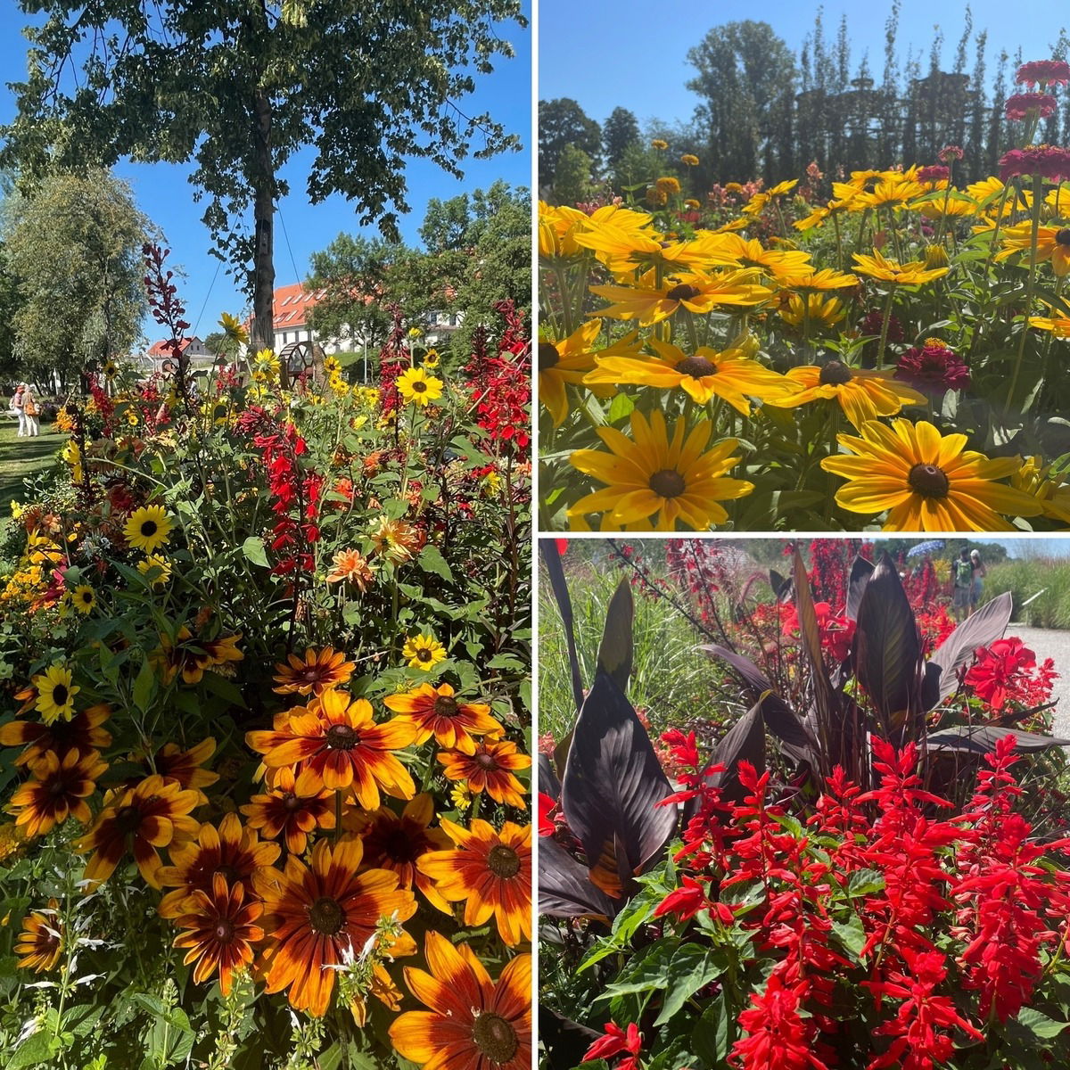 Landesgartenschau Wangen 🌸🌼🌺