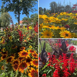 Landesgartenschau Wange...