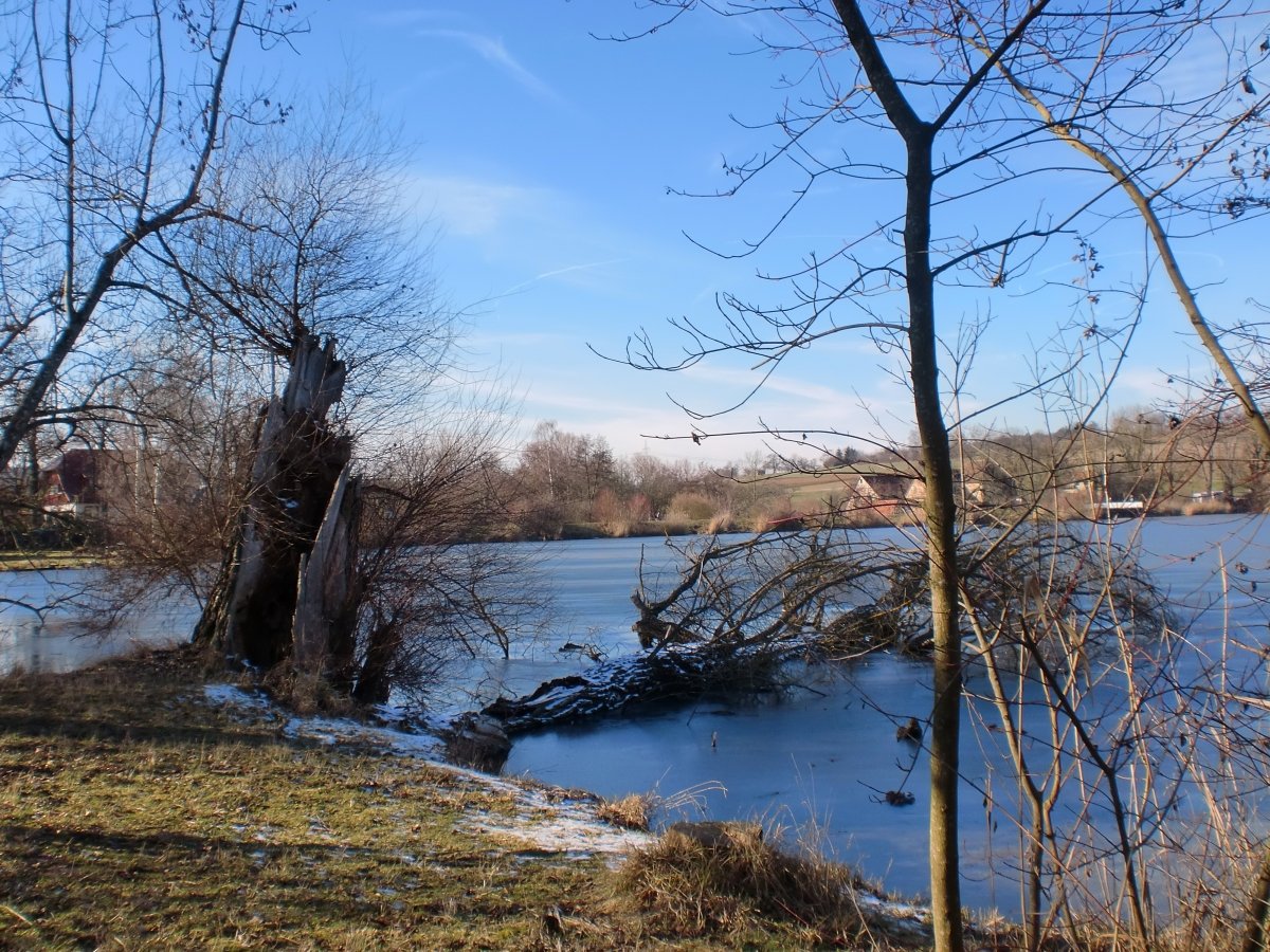 Heimat