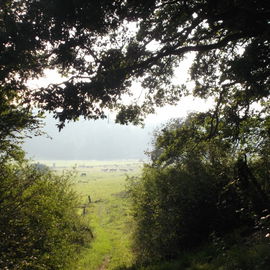 Blick von meiner Liebli...