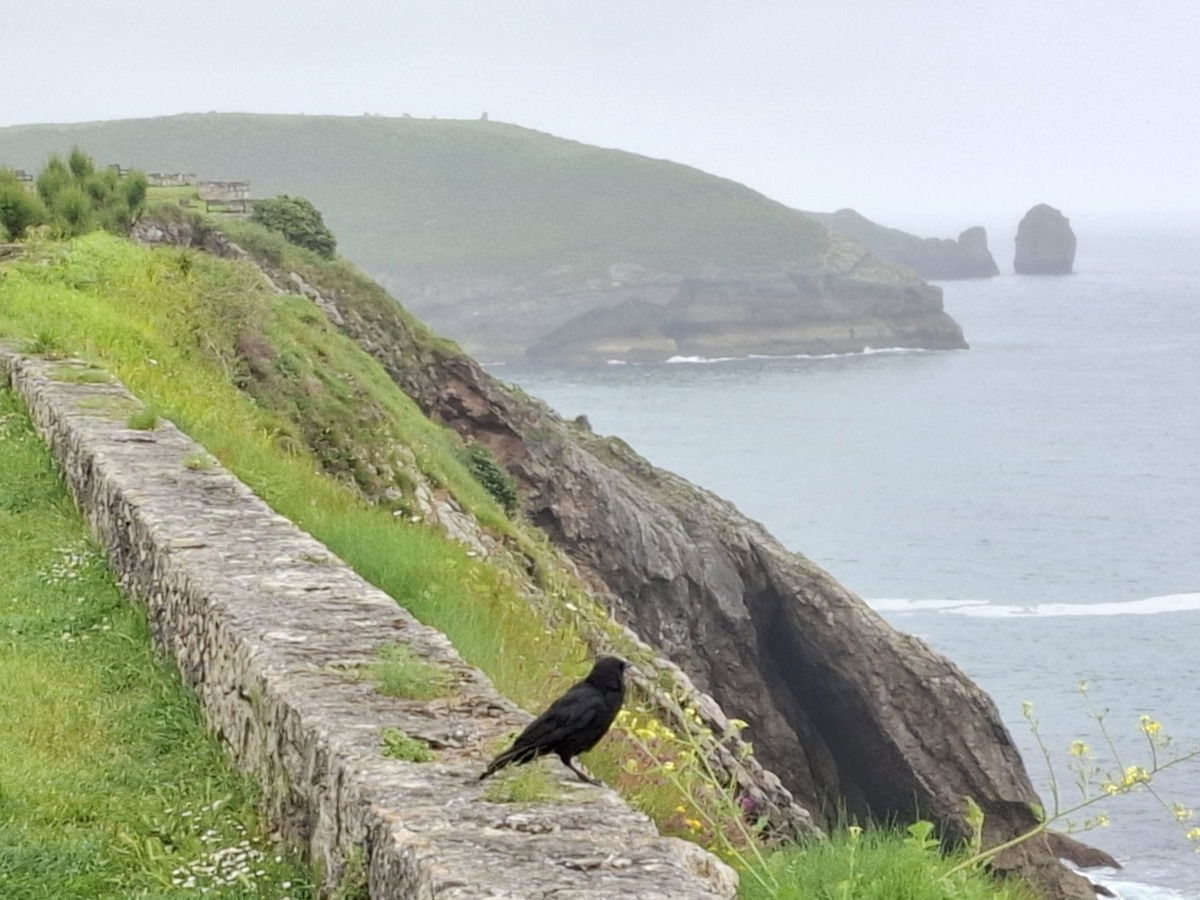 Llanes