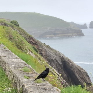 Llanes