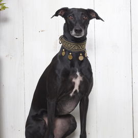 Mein Model