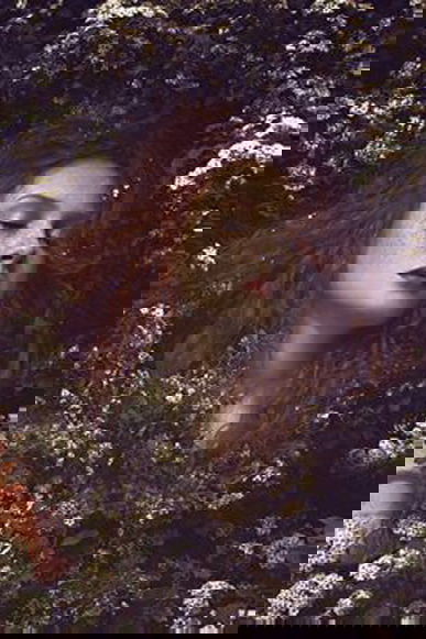 art by Wanthy Dimaren