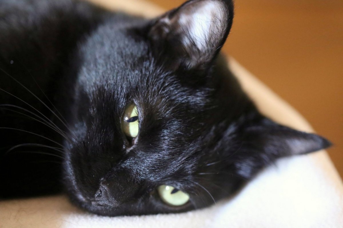 Mein kleiner Schatz