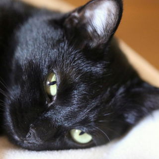 Mein kleiner Schatz
