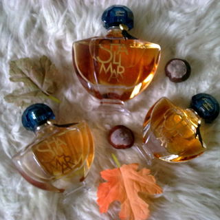 LOVE IS IN THE AIR 💖...