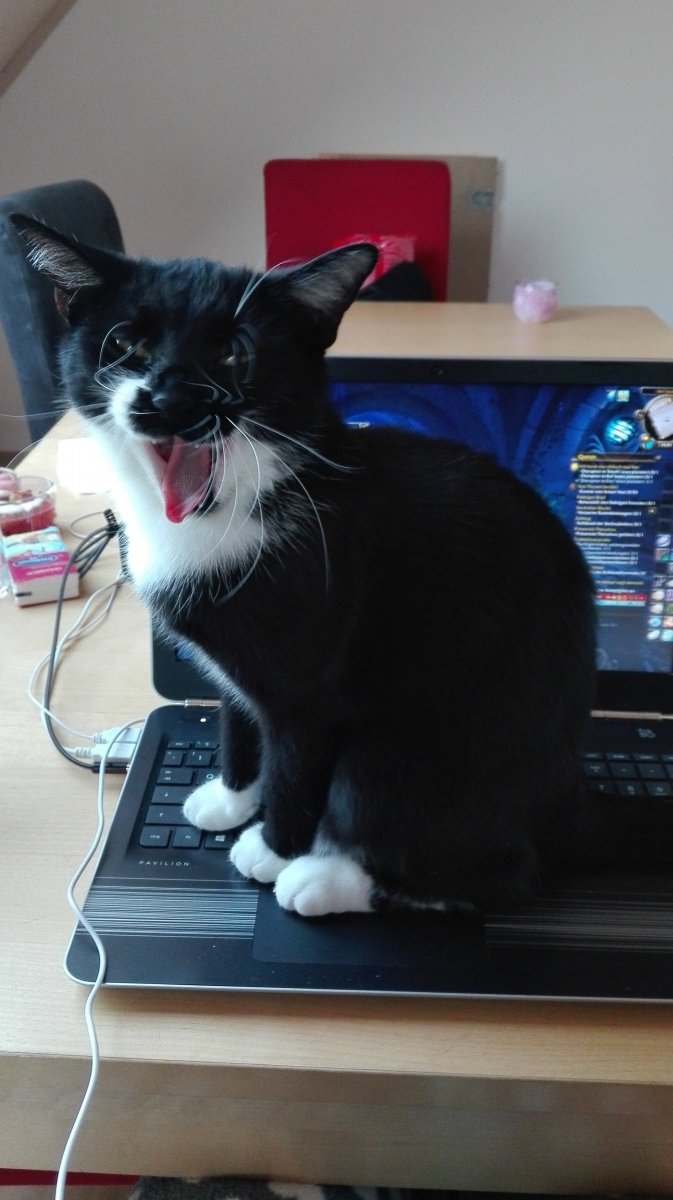 Genug gezockt für heute! Reicht jetzt!