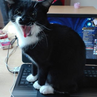 Genug gezockt für heut...