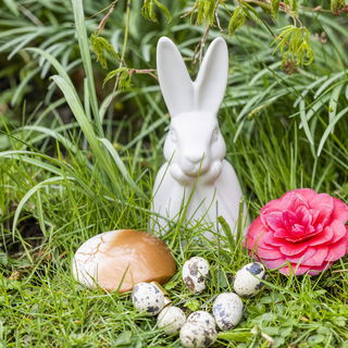 Der hat‘s leider nich...