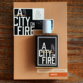 A City On Fire von Imag...