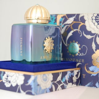 Figment, Amouge 2017