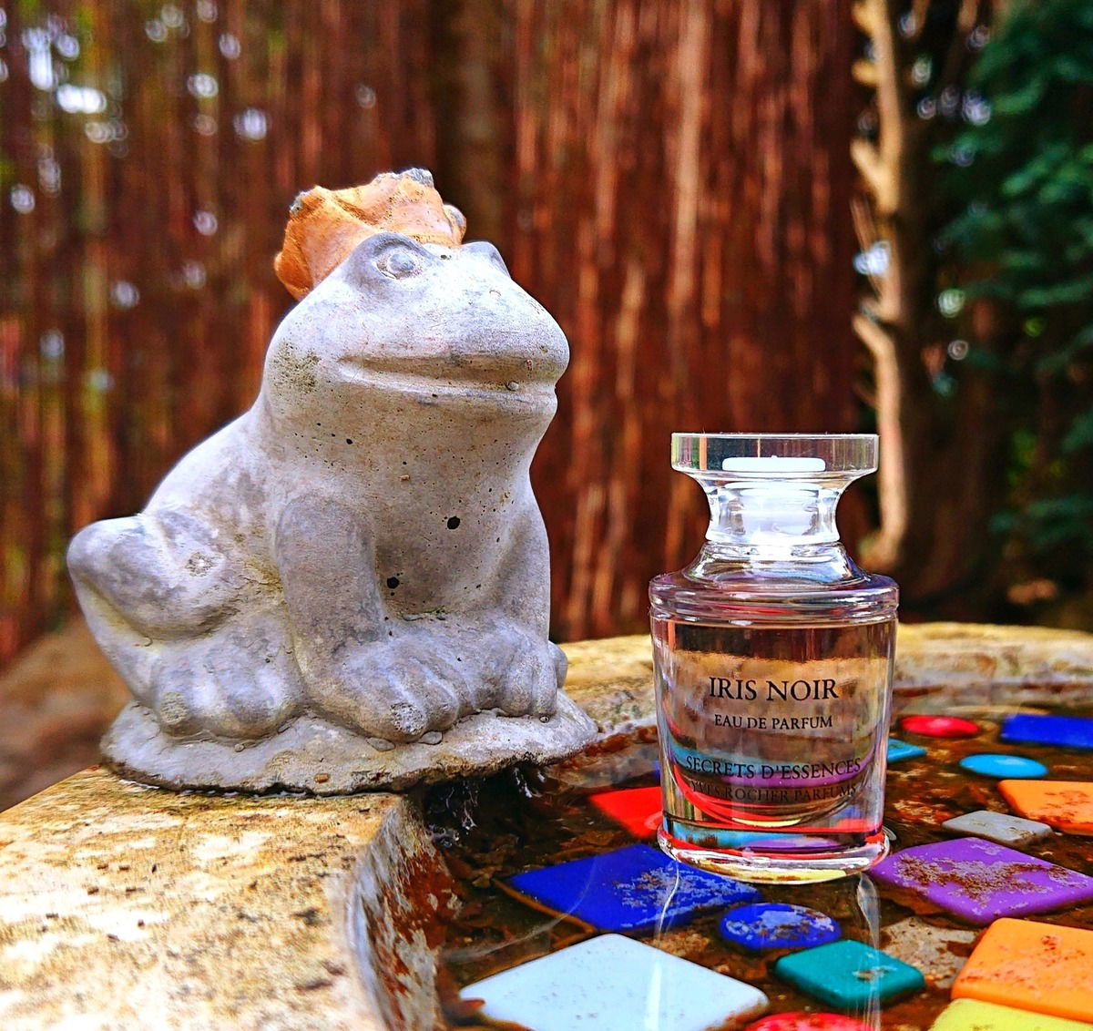 Abgelehnt - Dabei wartet der Frosch doch nur, dass die Prinzessin Iris ihn jetzt küsst 🐸👄💥