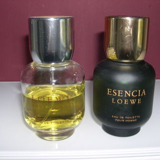 die beiden besten aus d...