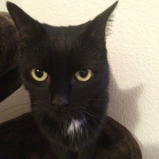 Schatzemann  kurz nach ...