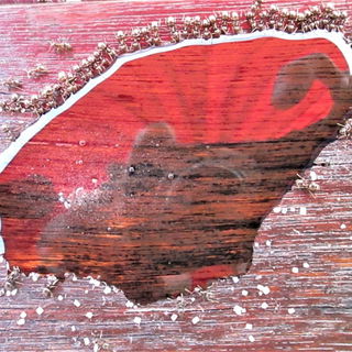 Konzeptkunst mit Ameise...