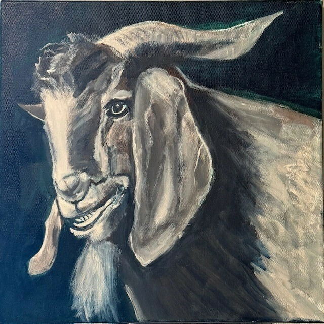 "Loisl"     Kamerun Ziegenbock     Acryl auf Leinwand 50X50cm