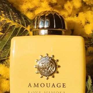 Love Mimosa Amouage