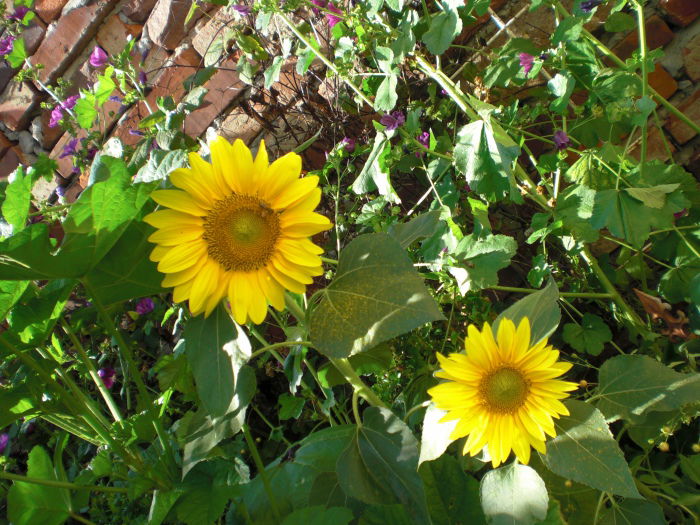 DANKE liebe Kerse :))))))