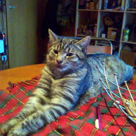23.12.2012, Mucki