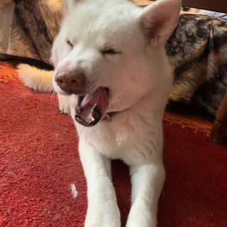 11.02.23 Boah ist das l...