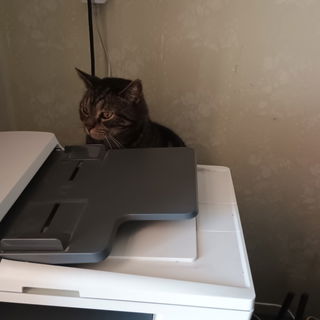 Oli mein bester Partner...