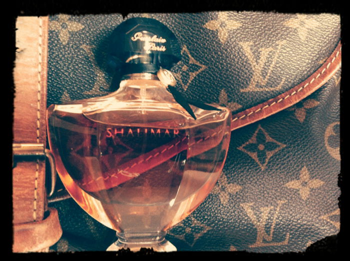 meine liebsten Reise-Begleiter ;-)