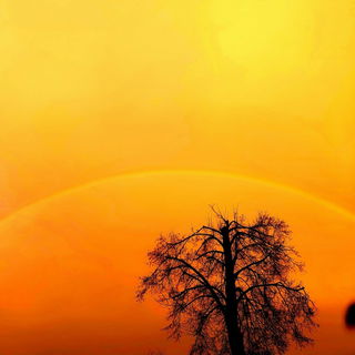 🌈 31.03.2023 first l...