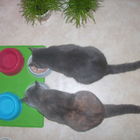 Lilly und Lil