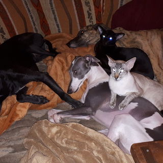 Allabendliches Power-Co...