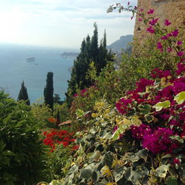 Le jardin a Roquebrune...