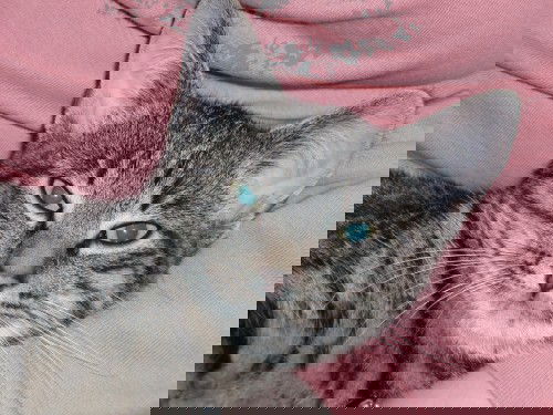 Entspannt