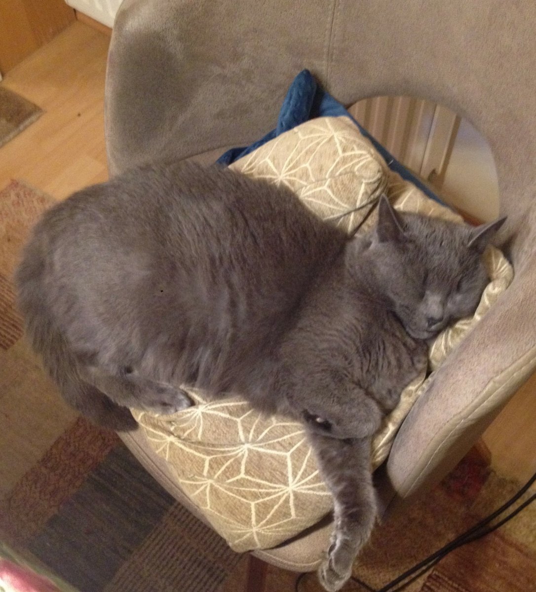 Lieblingsbeschäftigung an kalten Tagen