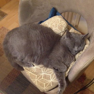 Lieblingsbeschäftigung...