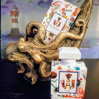 Den wollte ich schon vo...