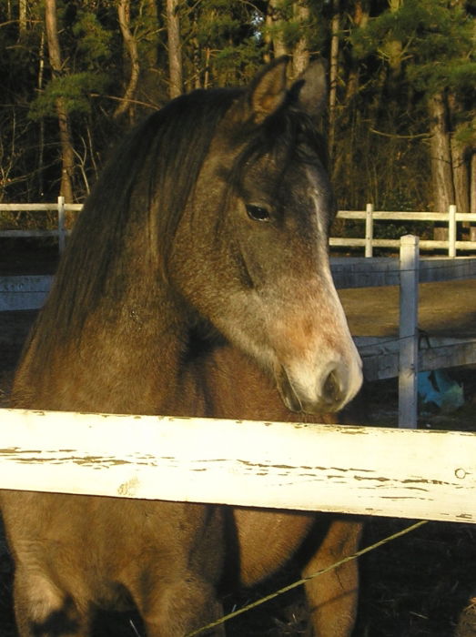 OH I Want to be FREEheeee..