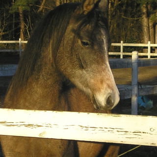 OH I Want to be FREEhee...