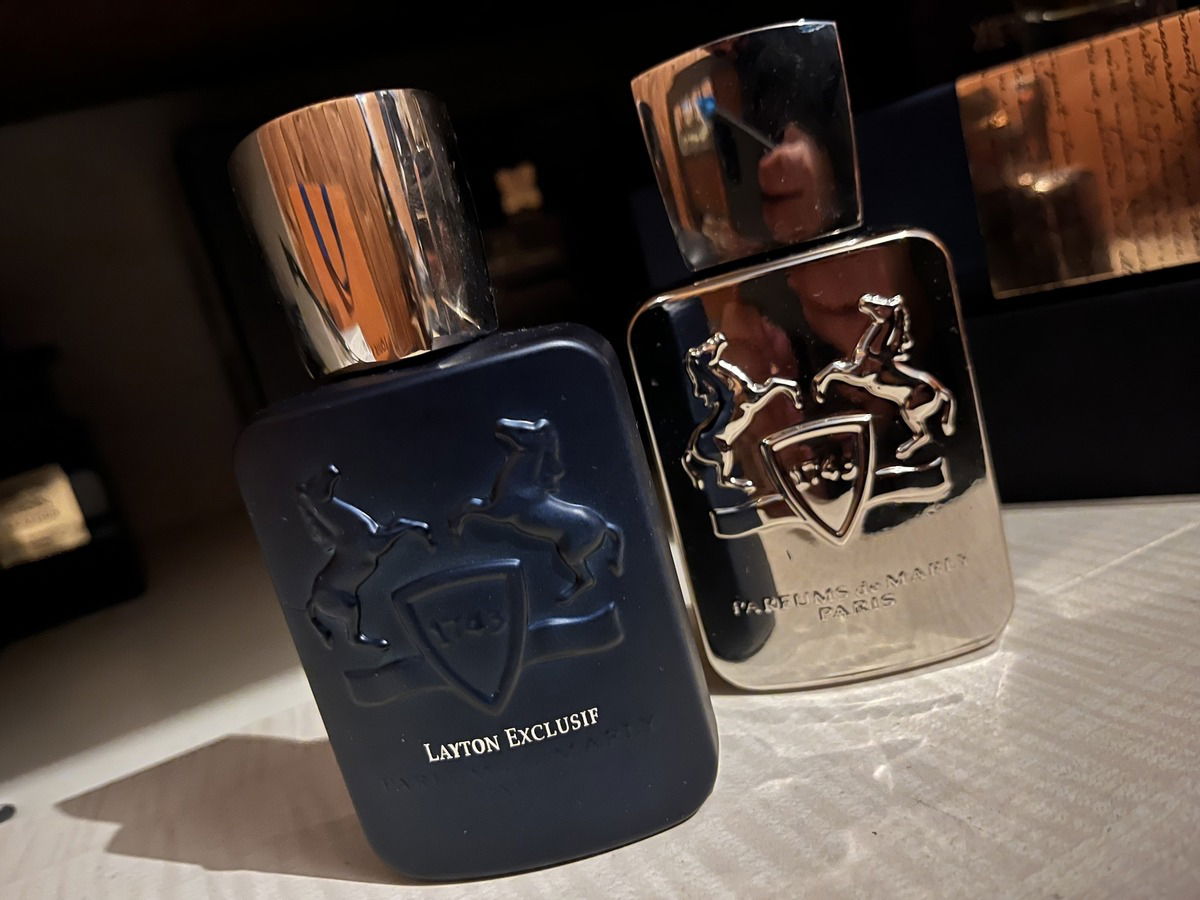 Pegasus & Layton Exclusif - PdM